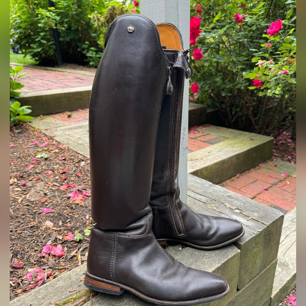 Konig Dressage Boot 5 1/2 UK